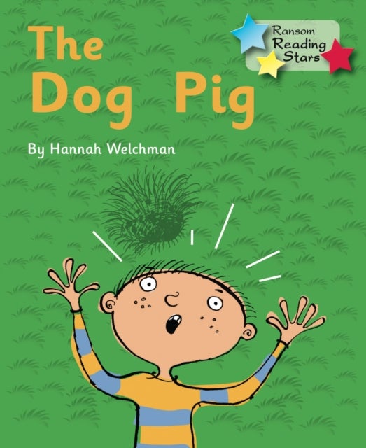 The Dog Pig - Phonics Phase 2