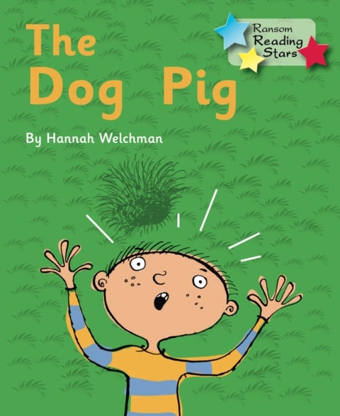 The Dog Pig - Phonics Phase 2