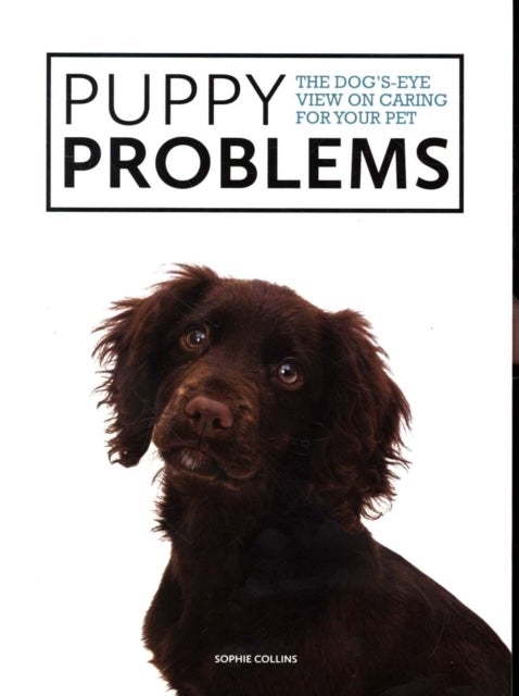 Puppy Problems - The Dog’s-Eye View on Caring For Your Pet