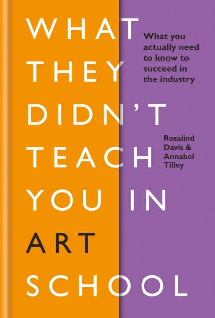 What They Didn't Teach You in Art School - What you need to know to survive as an artist
