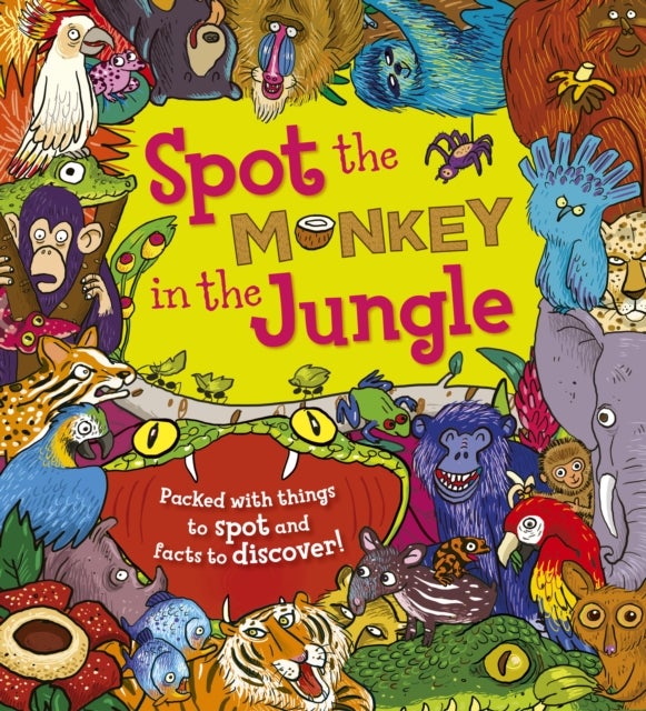 Spot the Monkey in the Jungle - Packed with things to spot and facts to discover!