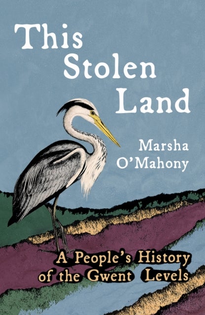 This Stolen Land - A People's History of the Gwent Levels