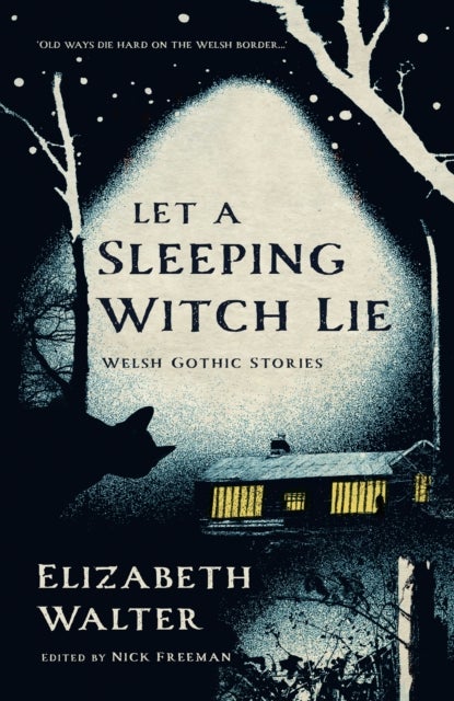 Let a Sleeping Witch Lie - Welsh Gothic Stories by Elizabeth Walter