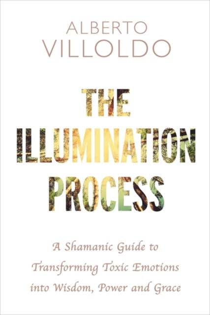 The Illumination Process - A Shamanic Guide to Transforming Toxic Emotions into Wisdom, Power, and Grace
