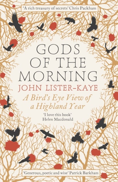 Gods of the Morning - A Bird’s Eye View of a Highland Year