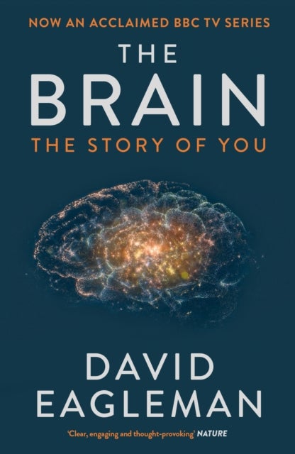 The Brain - The Story of You