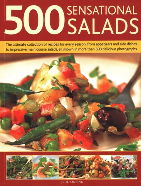 500 Best-Ever Salads - Recipes for every kind of salad from delicious appetizers and side dishes to impressive main courses, with meat, fish and vegetarian options, and over 500 colour photographs