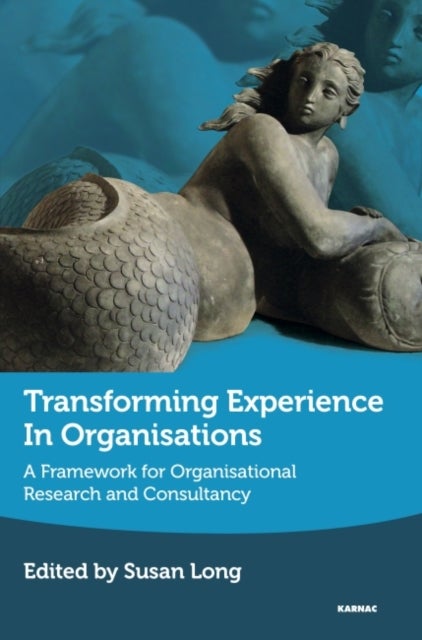 Transforming Experience in Organisations - A Framework for Organisational Research and Consultancy