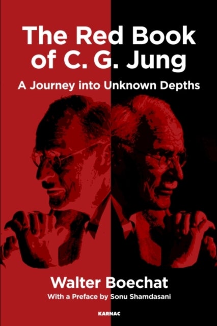 The Red Book of C.G. Jung - A Journey into Unknown Depths
