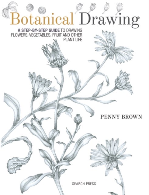 Botanical Drawing - A Step-by-Step Guide to Drawing Flowers, Vegetables, Fruit and Other Plant Life