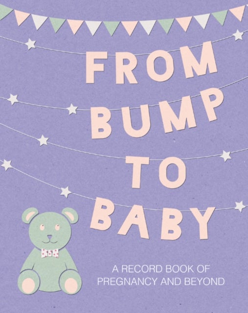 From Bump to Baby - A Record Book of Pregnancy and Beyond