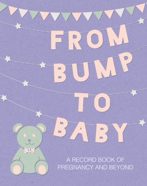 From Bump to Baby - A Record Book of Pregnancy and Beyond