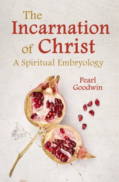 The Incarnation of Christ - A Spiritual Embryology