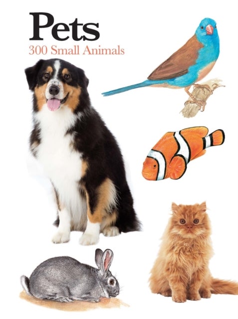 Pets - 300 Small Animals