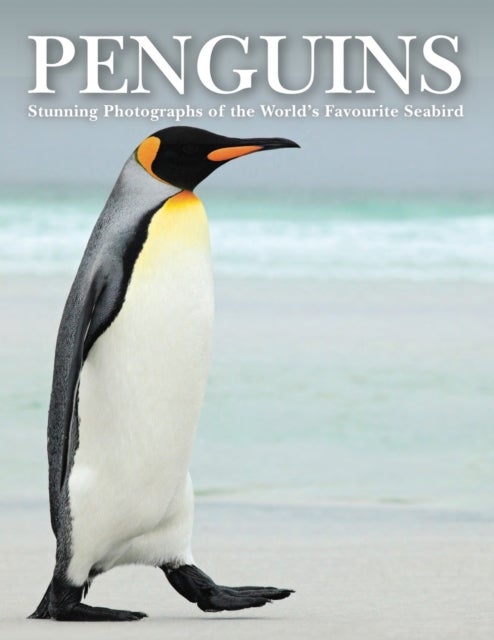 Penguins - Stunning Photographs of the World's Favourite Seabird