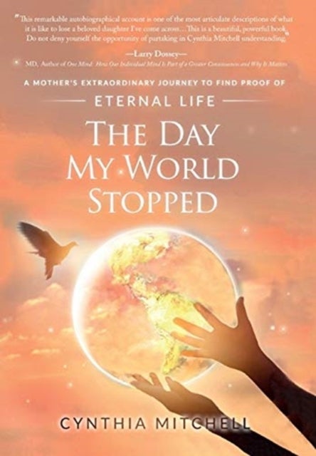 The Day My World Stopped - A Mother's Extraordinary Journey to Find Proof of Eternal Life
