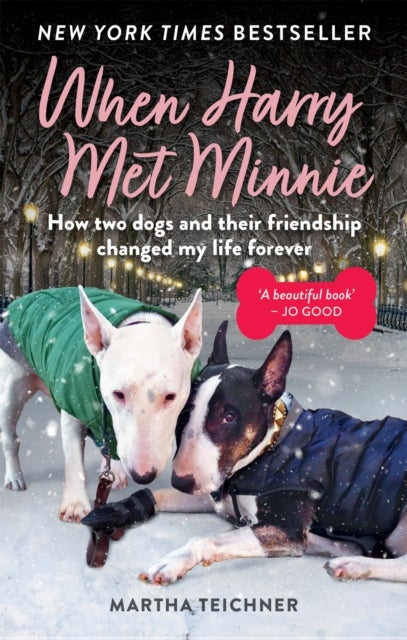 When Harry Met Minnie - An unexpected friendship and the gift of love beyond loss