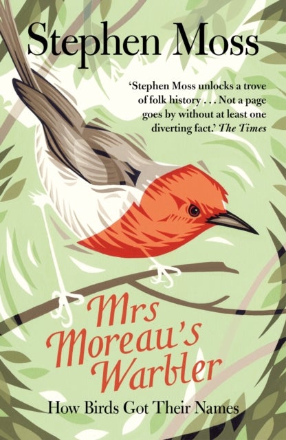 Mrs Moreau's Warbler - How Birds Got Their Names