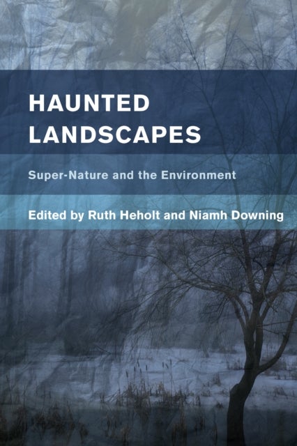 Haunted Landscapes - Super-Nature and the Environment
