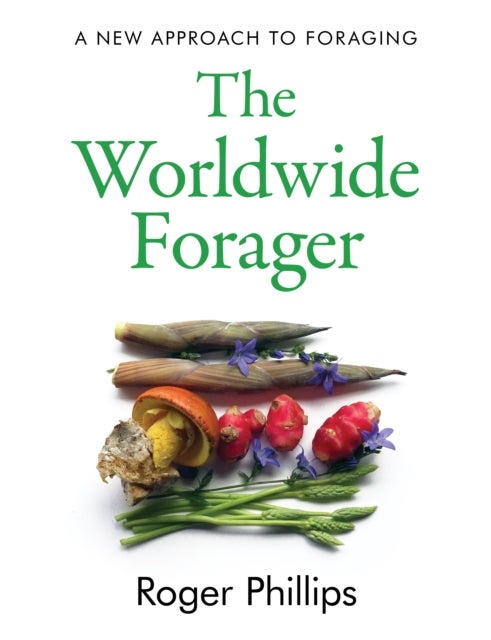 The Worldwide Forager - A New Approach to Foraging