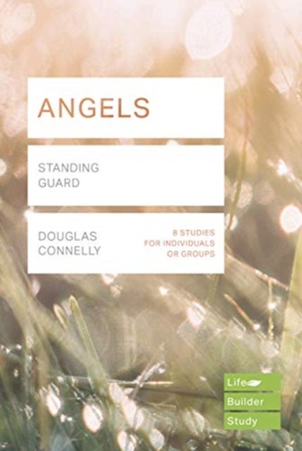 Angels (Lifebuilder Study Guides) - Standing Guard