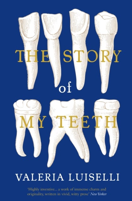 The Story of My Teeth
