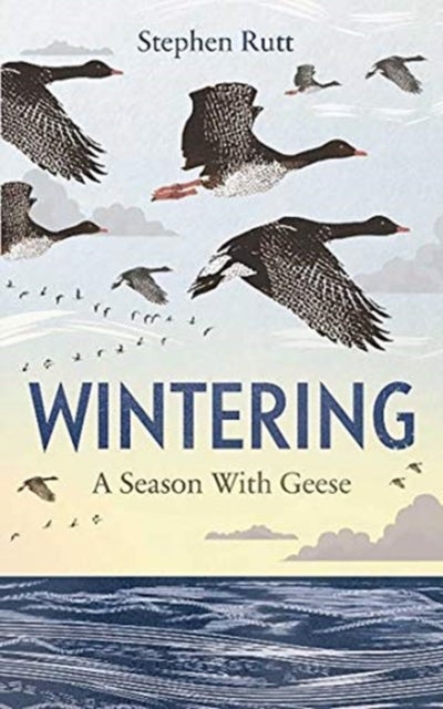 Wintering - A Season With Geese