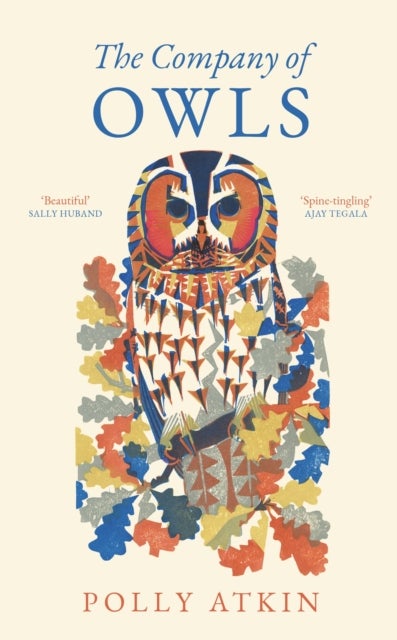 The Company of Owls - The perfect stocking filler the bird lover in your life