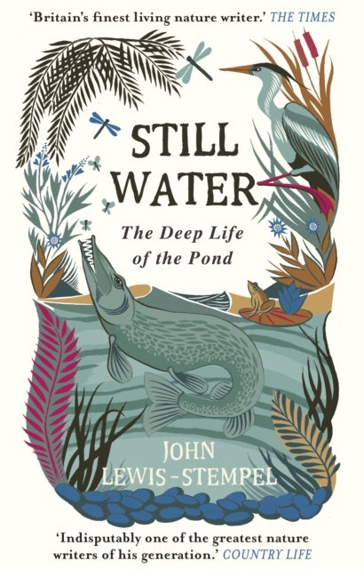 Still Water - The Deep Life of the Pond