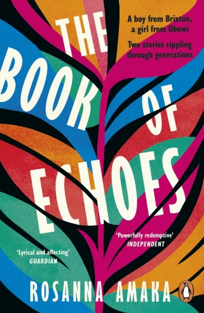 The Book Of Echoes - An astonishing debut. 'Impassioned. Lyrical and affecting' GUARDIAN