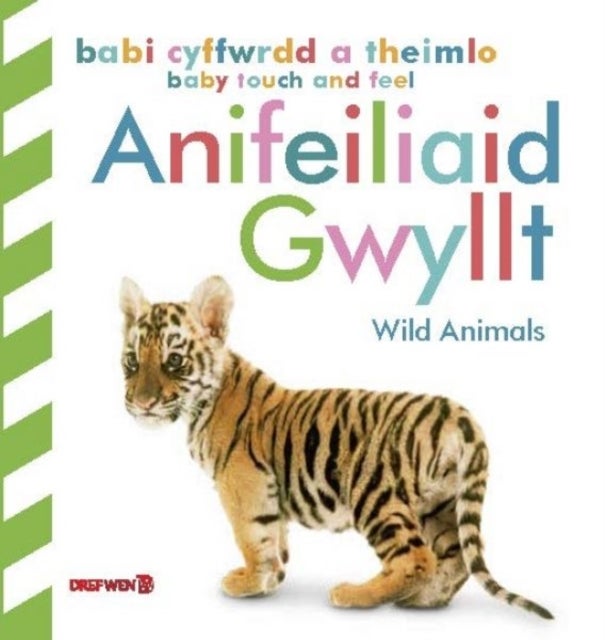 Babi Cyffwrdd a Theimlo: Anifeiliaid Gwyllt / Baby Touch and Feel: Wild Animals - Wild Animals