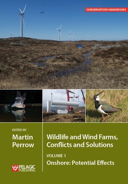Wildlife and Wind Farms - Conflicts and Solutions - Onshore: Potential Effects