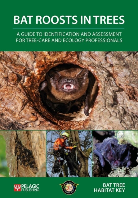 Bat Roosts in Trees - A Guide to Identification and Assessment for Tree-Care and Ecology Professionals