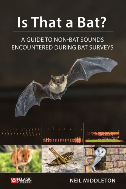 Is That a Bat? - A Guide to Non-Bat Sounds Encountered During Bat Surveys
