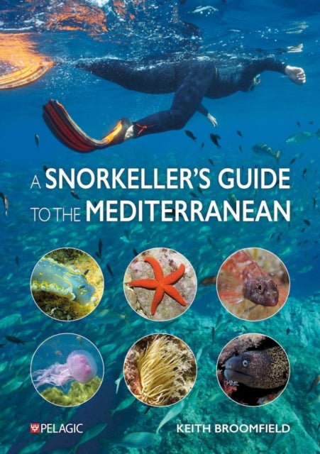 A Snorkeller¿s Guide to the Mediterranean - A photographic ID guide to the most commonly encountered marine species