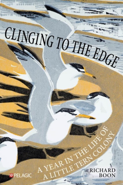 Clinging to the Edge - A Year in the Life of a Little Tern Colony
