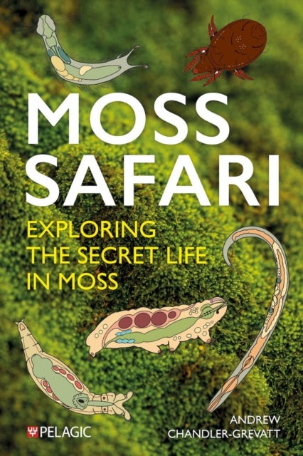 Moss Safari - Exploring the Secret Life in Moss