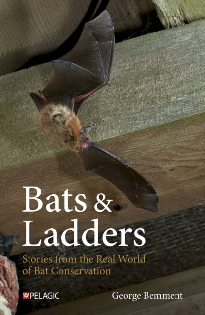 Bats & Ladders - Stories from the Real World of Bat Conservation