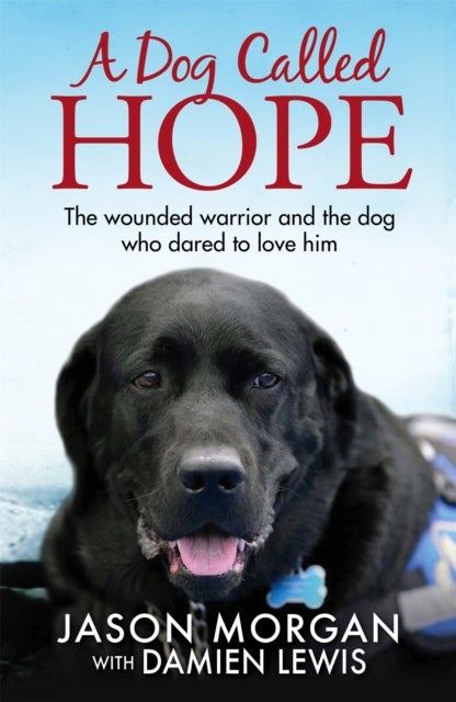 A Dog Called Hope - The wounded warrior and the dog who dared to love him