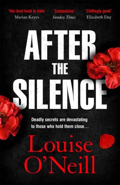 After the Silence - The An Post Irish Crime Novel of the Year