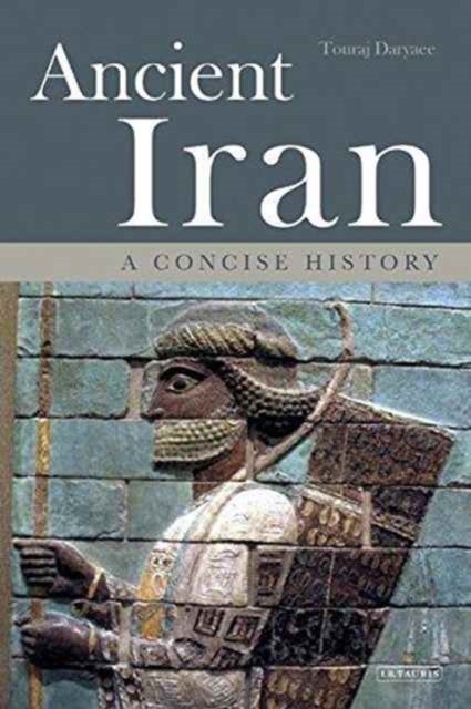 Ancient Iran - A Concise History