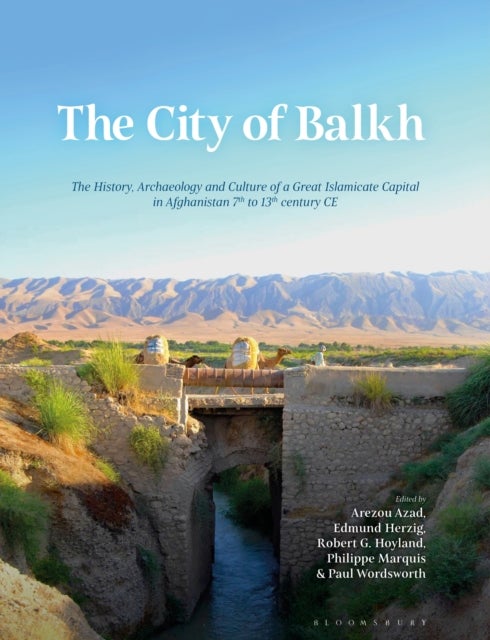 The City of Balkh - The History, Archaeology, and Culture of a Great Islamicate Capital in Afghanistan 7th to 13th century CE