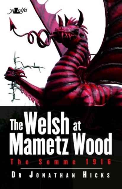 Welsh Of Mametz Wood The Somme 1916
