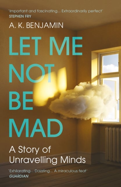 Let Me Not Be Mad - A Story of Unravelling Minds