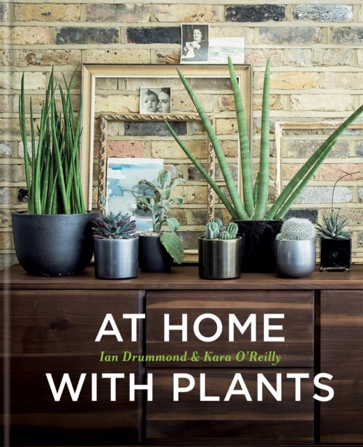 At Home with Plants - Transform Your Home with Plants