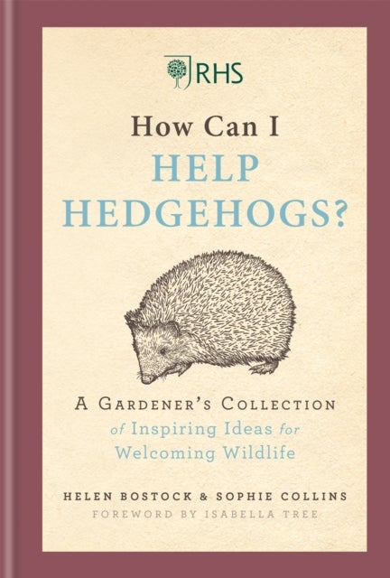 RHS How Can I Help Hedgehogs? - A Gardener's Collection of Inspiring Ideas for Welcoming Wildlife