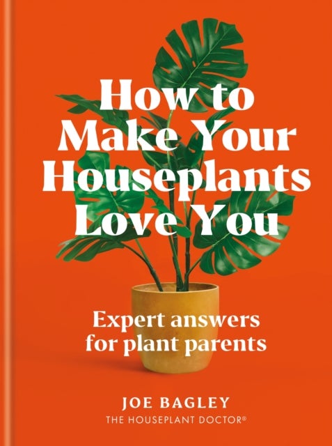 How to Make Your Houseplants Love You - Expert Answers for Plant Parents