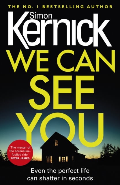 We Can See You - a high-octane, explosive and gripping thriller from bestselling author Simon Kernick