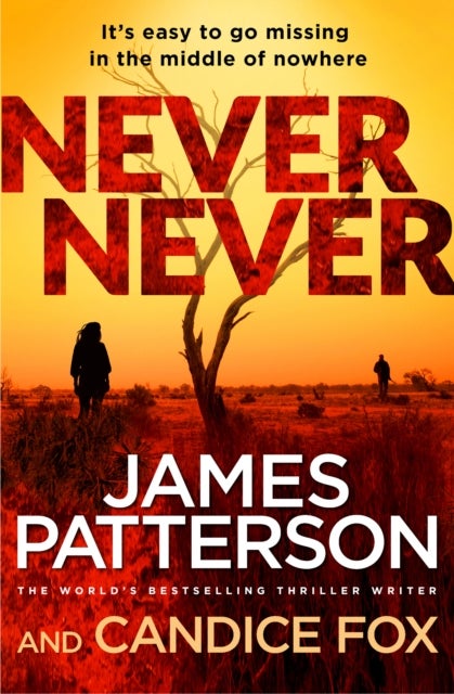 Never Never - (Harriet Blue 1)