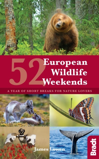 52 European Wildlife Weekends - A year of short breaks for nature lovers